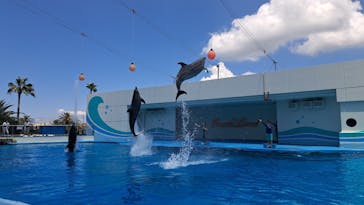 南知多ビーチランド＆南知多おもちゃ王国に投稿された画像（2023/7/24）