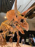 DinoScience 恐竜科学博 2023@TOKYO MIDTOWNに投稿された画像（2023/7/24）