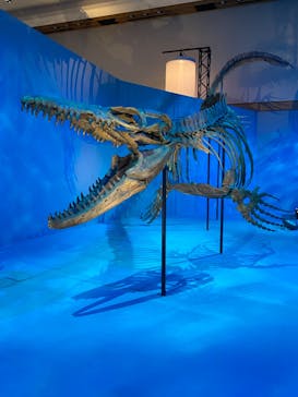 DinoScience 恐竜科学博 2023@TOKYO MIDTOWNに投稿された画像（2023/7/24）