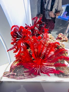 AOAO SAPPOROに投稿された画像（2023/7/24）