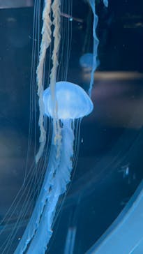 AOAO SAPPOROに投稿された画像（2023/7/24）