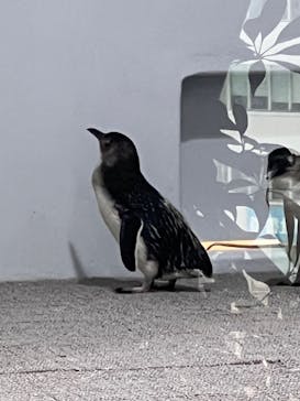 AOAO SAPPOROに投稿された画像（2023/7/24）