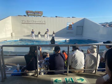 鴨川シーワールドに投稿された画像（2023/7/24）