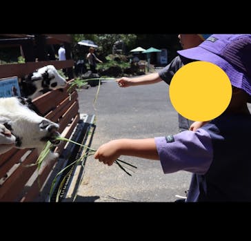 伊豆シャボテン動物公園に投稿された画像（2023/7/24）