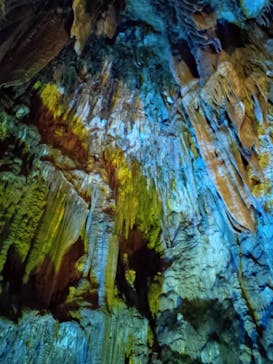 あぶくま洞に投稿された画像（2023/7/24）