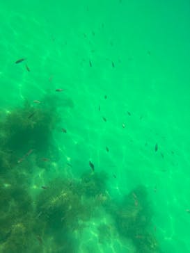 瀬戸内パドリングに投稿された画像（2023/7/24）