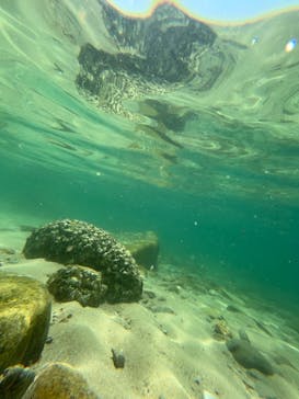 瀬戸内パドリングに投稿された画像（2023/7/24）