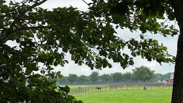 ノーザンホースパークに投稿された画像（2023/7/24）