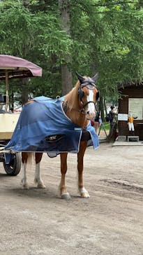 ノーザンホースパークに投稿された画像（2023/7/24）