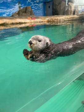 マリンワールド海の中道に投稿された画像（2023/7/24）