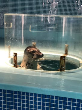 下田海中水族館に投稿された画像（2023/7/24）