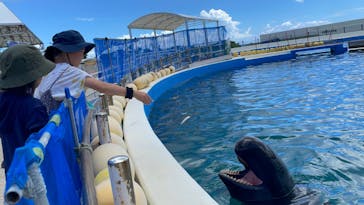 沖縄美ら海水族館に投稿された画像（2023/7/24）