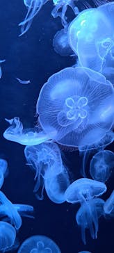 AOAO SAPPOROに投稿された画像（2023/7/24）