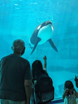 名古屋港水族館に投稿された画像（2023/7/24）