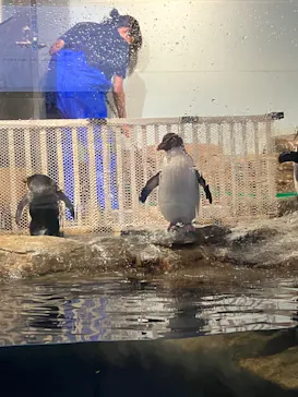 マクセル アクアパーク品川に投稿された画像（2023/7/24）