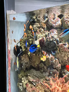 マクセル アクアパーク品川に投稿された画像（2023/7/24）