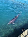 伊豆・三津シーパラダイスに投稿された画像（2023/7/24）