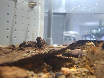 AOAO SAPPOROに投稿された画像（2023/7/24）