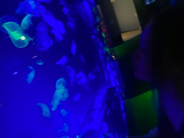 名古屋港水族館に投稿された画像（2023/7/24）