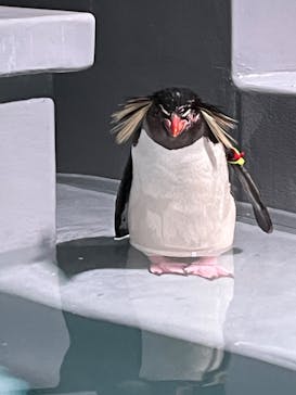 AOAO SAPPOROに投稿された画像（2023/7/24）