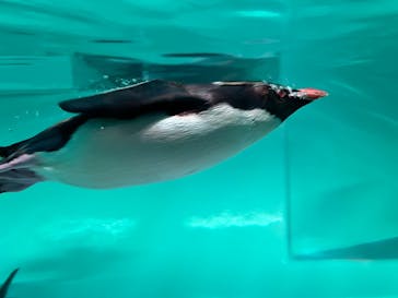 AOAO SAPPOROに投稿された画像（2023/7/24）