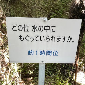 熱川バナナワニ園に投稿された画像（2023/7/24）