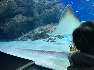 サンシャイン水族館に投稿された画像（2023/7/24）