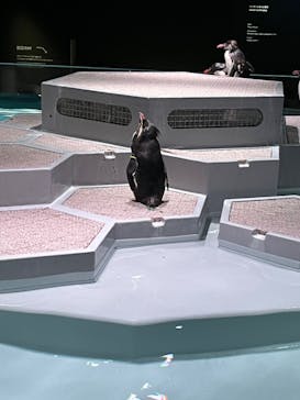 AOAO SAPPOROに投稿された画像（2023/7/24）