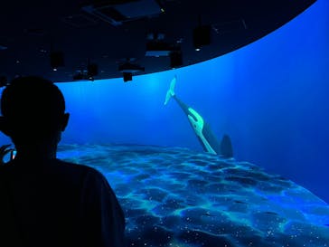 AOAO SAPPOROに投稿された画像（2023/7/24）