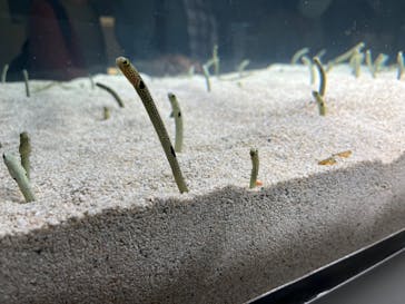 AOAO SAPPOROに投稿された画像（2023/7/24）