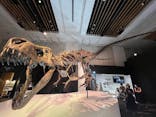 DinoScience 恐竜科学博 2023@TOKYO MIDTOWNに投稿された画像（2023/7/24）