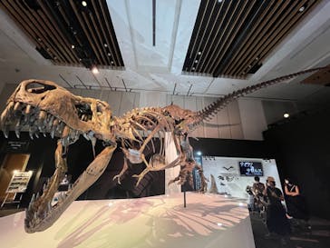 DinoScience 恐竜科学博 2023@TOKYO MIDTOWNに投稿された画像（2023/7/24）