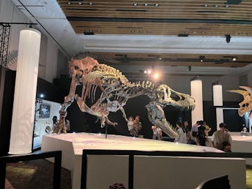 DinoScience 恐竜科学博 2023@TOKYO MIDTOWNに投稿された画像（2023/7/24）