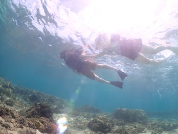 宮古島マリン GB QUESTに投稿された画像（2023/7/24）