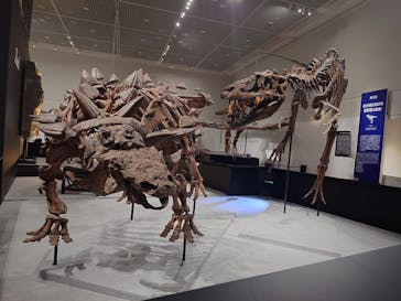 大阪市立自然史博物館に投稿された画像（2023/7/24）