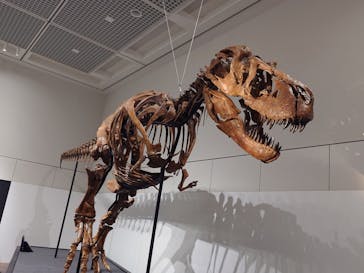 大阪市立自然史博物館に投稿された画像（2023/7/24）