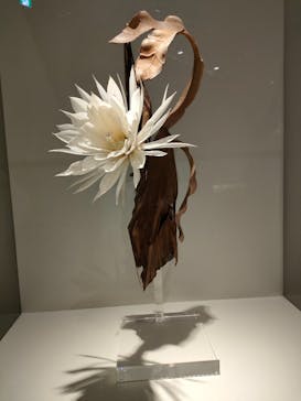 あべのハルカス美術館に投稿された画像（2023/7/24）