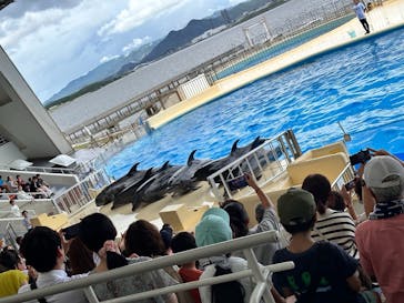 マリンワールド海の中道に投稿された画像（2023/7/24）