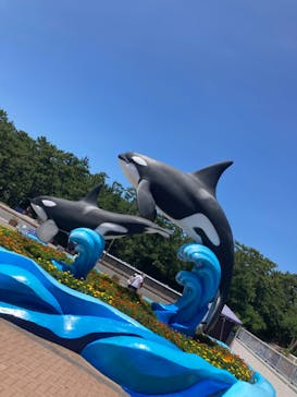 鴨川シーワールドに投稿された画像（2023/7/24）