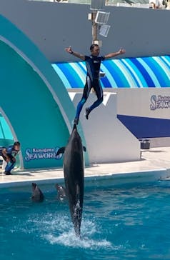 鴨川シーワールドに投稿された画像（2023/7/24）