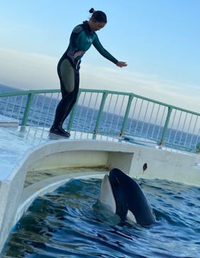 鴨川シーワールドに投稿された画像（2023/7/24）