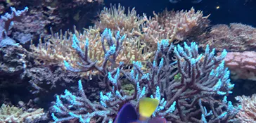 マクセル アクアパーク品川に投稿された画像（2023/7/24）