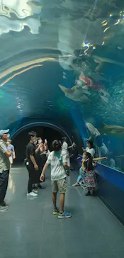 マクセル アクアパーク品川に投稿された画像（2023/7/24）