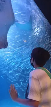 マクセル アクアパーク品川に投稿された画像（2023/7/24）