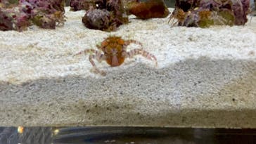 AOAO SAPPOROに投稿された画像（2023/7/24）