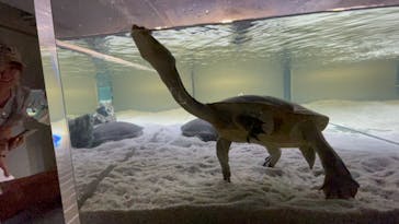 AOAO SAPPOROに投稿された画像（2023/7/24）