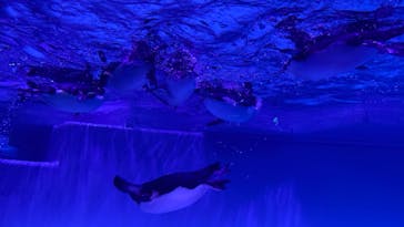 AOAO SAPPOROに投稿された画像（2023/7/24）