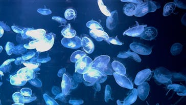 AOAO SAPPOROに投稿された画像（2023/7/24）