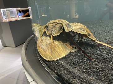 AOAO SAPPOROに投稿された画像（2023/7/24）