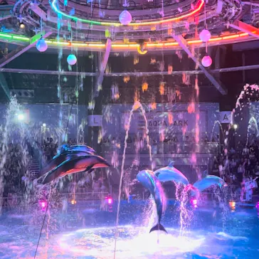 マクセル アクアパーク品川に投稿された画像（2023/7/24）